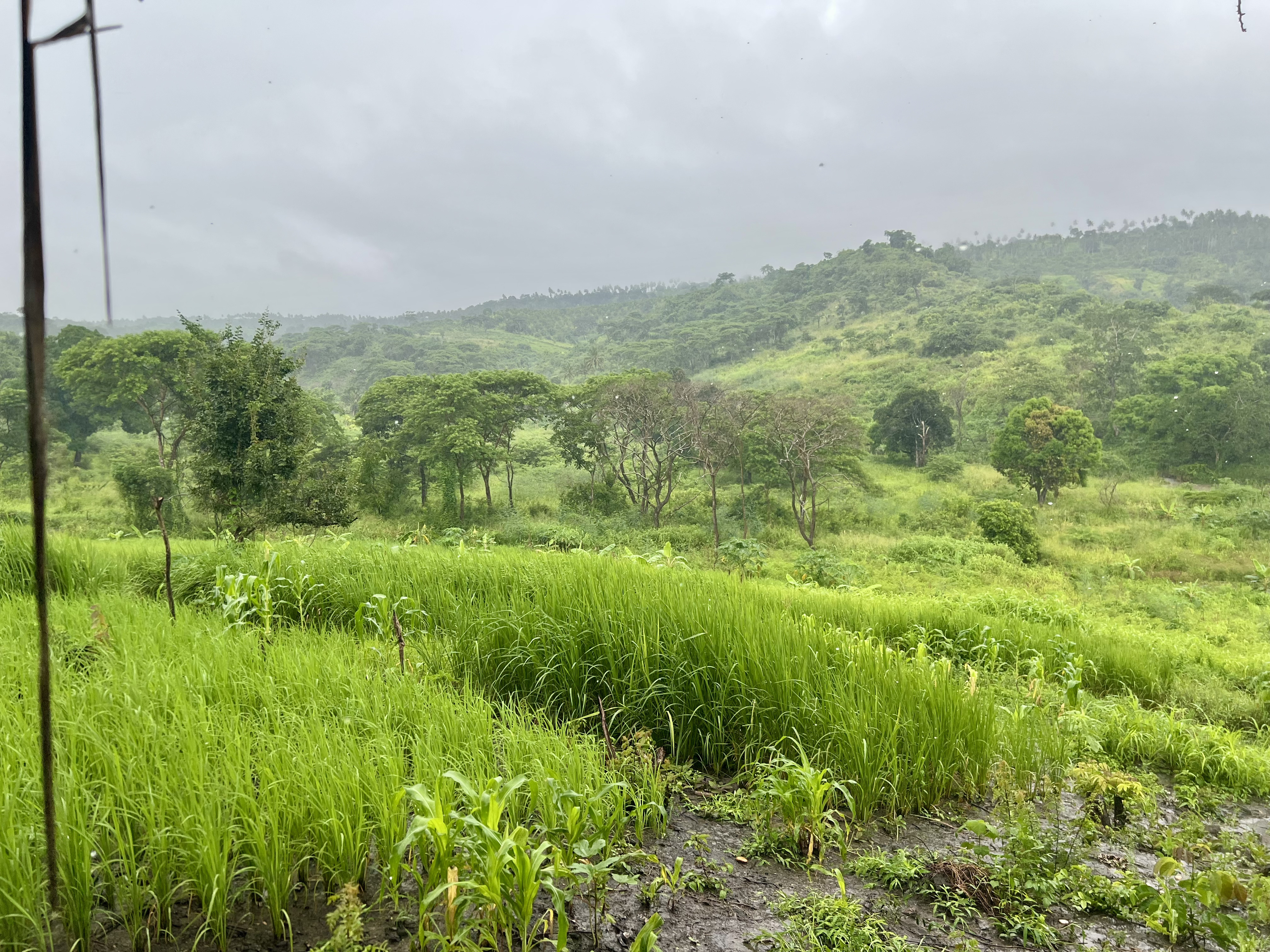 Drip irrigation system